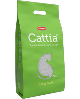 BF CATTIA SPRING FRESH 5 L KISSANHIEKKA Main Image