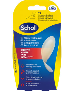 SCHOLL KANTAPÄÄ 5 KPL RAKKOLAASTARI Main Image