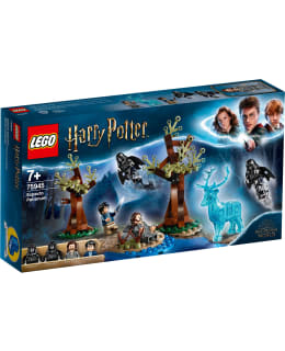 LEGO 75945 HARRY POTTER ODOTUM SUOJELIUS Main Image