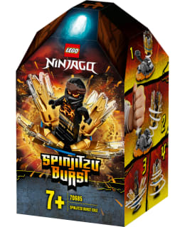 LEGO 70685 SPINJITZU-RÄJÄYTIN - COLE Main Image