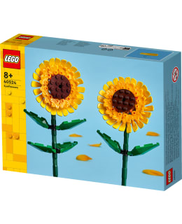 LEGO 40524 AURINGONKUKAT Main Image
