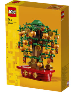 LEGO 40648 RAHAPUU Main Image