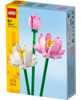 LEGO 40647 LOOTUSKUKAT Main Image