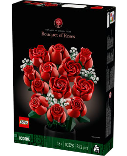 LEGO 10328 RUUSUKIMPPU Main Image
