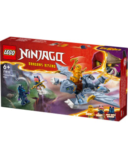 LEGO 71810 PIKKUINEN RIYU-LOHIKÄÄRME Main Image