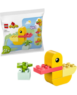 LEGO 30673 ENSIMMÄINEN ANKKANI Main Image