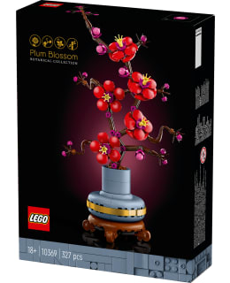 LEGO 10369 LUUMUNKUKKA Main Image