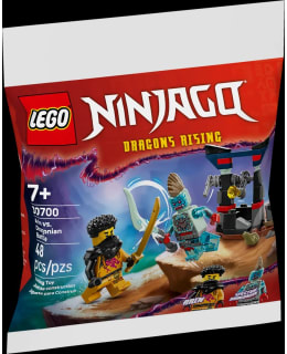 LEGO 30700 ARININ JA DRAGONIALAISEN TAIS Main Image