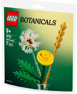 LEGO 30701 NIITTYKUKAT Main Image