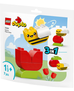 LEGO 30686 ENSIMMÄINEN KUKKANI Main Image