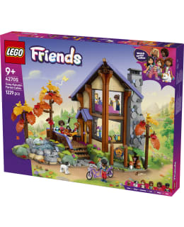 LEGO 42705 MUKAVA MÖKKI SYYSMETSÄSSÄ Main Image