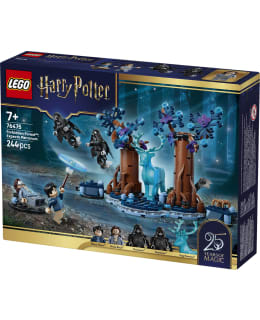LEGO 76475 KIELLETTY METSÄ: ODOTUM SUOJE Main Image