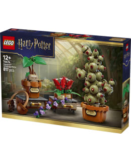 LEGO 76474 TYLYPAHKAN YRTTITIEDON OPPITU Main Image
