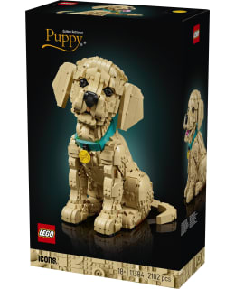 LEGO 11384 KULTAISEN NOUTAJAN PENTU Main Image