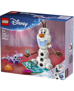 LEGO 43287 OLAFIN JA BRUNIN HAUSKA EVÄS Main Image