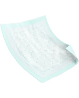 ABRI-SOFT 60X60CM 60 KPL VUODESUOJA Main Image