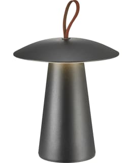 NORDLUX ARA TO GO MUSTA LED-VALAISIN Main Image