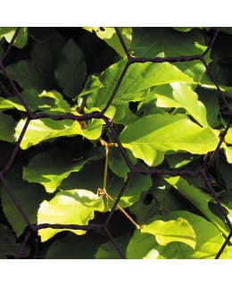 NSH NORDIC AS 106-042 Main Image