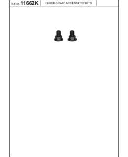 OJD Quick Brake OJD-11662K Jarrulevyn kiinnitysruuvi (1kpl = pussi sis.2kpl) Main Image