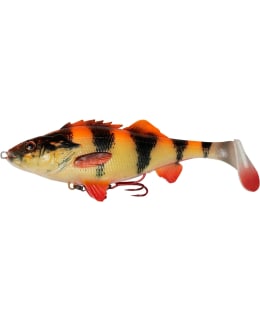 SG 4D PERCH SHAD 12,5CM 3 JIGI Main Image