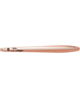 SG LINE THRU SAN NAIL 12CM 26G COP PLAT Main Image