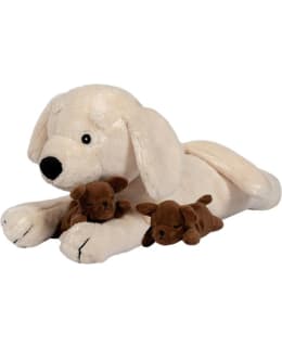 ASTRUP PEHMOKOIRA JA KAKSI KOIRANPENTUA Main Image