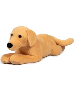 ASTRUP KOIRA 2,2 KG PAINOPEHMO Main Image