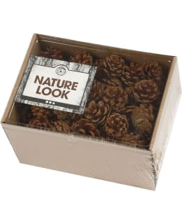 CC 500G MÄNNYNKÄVYT Main Image