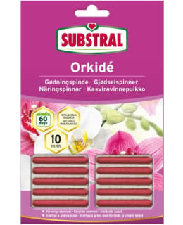 ORKIDE 10 KPL KASVIRAVINNEPUIKKO Main Image