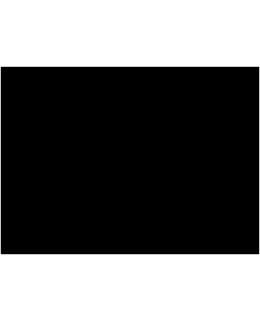 SCHJERNING 250ML 54 MUSTA ASKARTELUMAALI Main Image