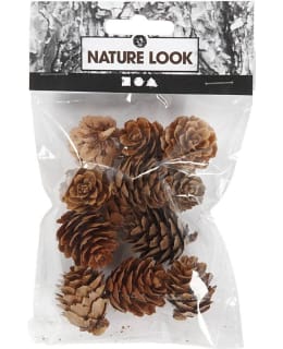 CC 12 KPL LEHTIKUUSEN KÄVYT Main Image