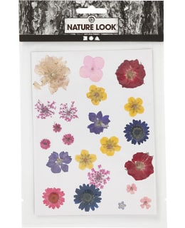 CC VÄRILAJITELMA KUIVATUT KUKAT Main Image