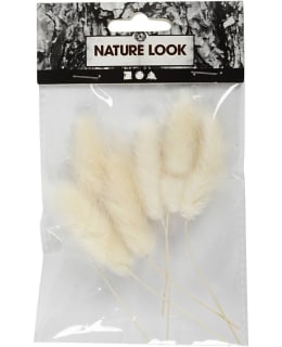 CC 6 KPL JÄNÖNHÄNTÄ HEINÄ Main Image