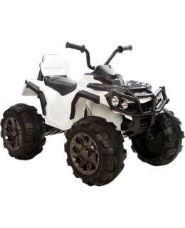 AZENO DIRTY RAPTOR XL 2X12V SÄHKÖMÖNKIJÄ Main Image