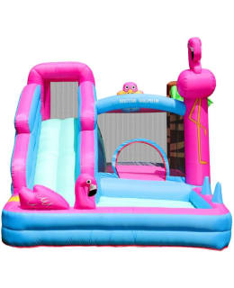 DOCTOR DOLPHIN FLAMINGO POMPPULINNA Main Image