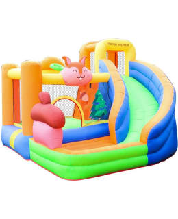 DOCTOR DOLPHIN SQUIRREL POMPPULINNA Main Image