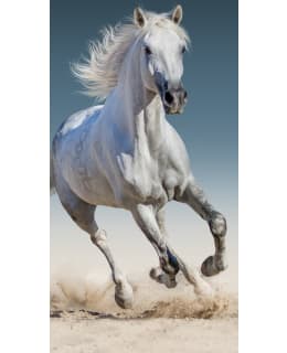 HORSE 110033 70X140 CM TOWEL Main Image