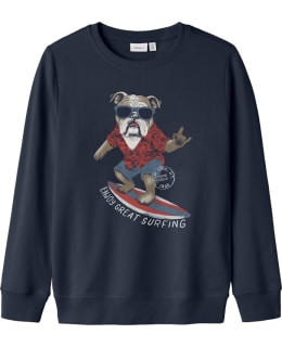 NI 13242162-NAB-122/128 SWEAT MALE KNIT Main Image