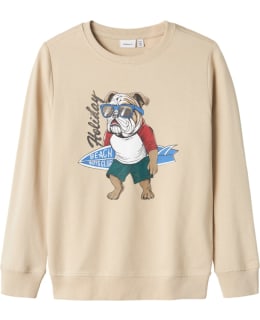 NI 13242162-PEY-146/152 SWEAT MALE KNIT Main Image