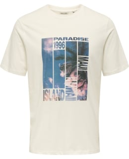 ONS 22029454-CLD-DIS-L T-SHIRT MALE KNIT Main Image
