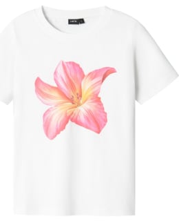 LMTD 13241974-BRW-PIF-170/176 T-SHIRT FE Main Image