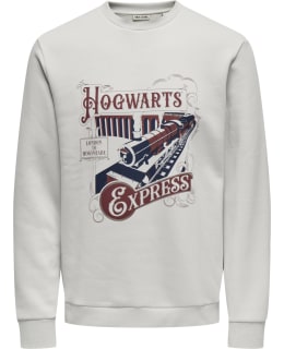 ONS 22035421-LUR-HOE-S SWEAT MALE KNIT Main Image