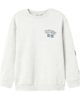 NI 13246684-CLD-116 SWEAT MALE KNIT Main Image