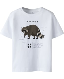 NI 13253256-BRW-110 T-SHIRT MALE KNIT Main Image