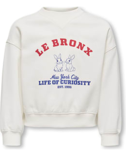 KONL 15362086-CLD-BRO-158/164 SWEAT FEM Main Image