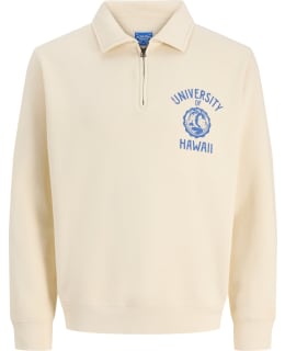 JJ 12295044-SEP-L SWEAT MALE KNIT Main Image
