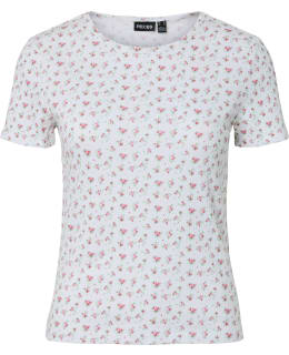 PIECES 17164963-CLD-SPI-M T-SHIRT FEM KN Main Image