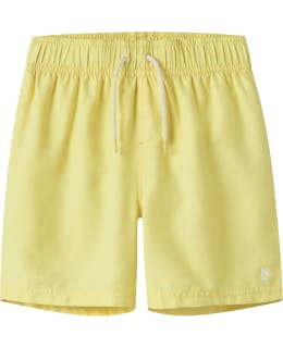 NI 13226651-LEM-146 SHORTS MALE WOV Main Image