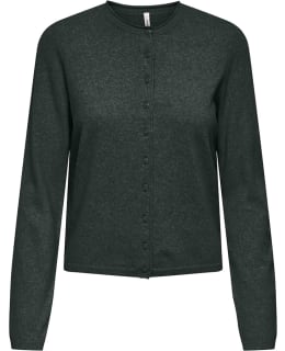 ONLY 15368959-SCA-EDE-L CARDIGAN FEM KNI Main Image