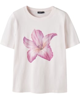 LMTD 13241974-PIM-EW.-170/176 T-SHIRT FE Main Image